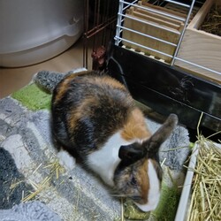 大分慣れて来ました！
