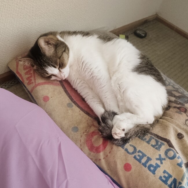 ひろゆきのんのカバー写真