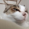ひろゆきのん