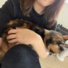 抱っこして欲しくて無理やり腕の中に。笑