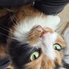 今日も美人だね〜