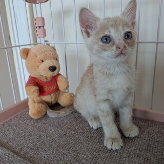 寄り添って頑張ってた5兄妹‼️