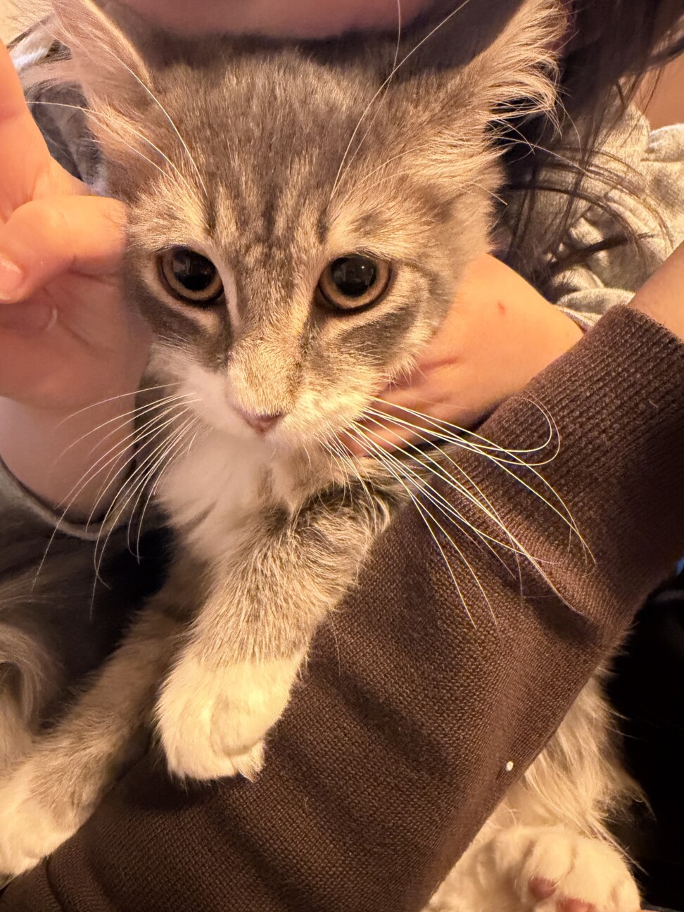 なかがわ