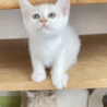マザコン！？★びえい★甘えた坊主 サムネイル4