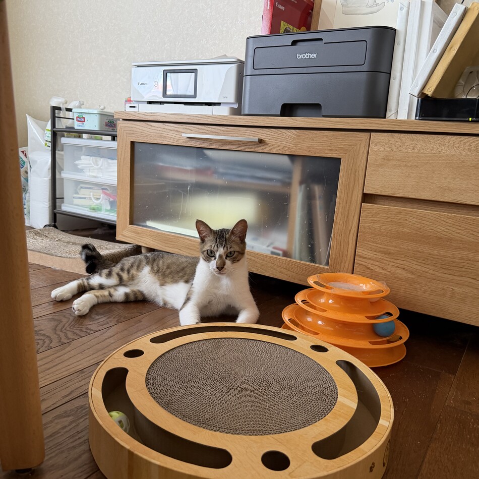 由季のカバー写真