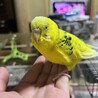waranari
