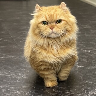 大変素敵なご縁をいただきました。