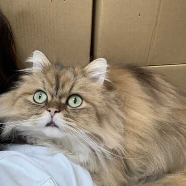 の写真