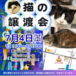 7月4日（土）「保護猫の譲渡会」開催します！