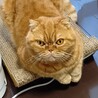 まるとかずちゃん
