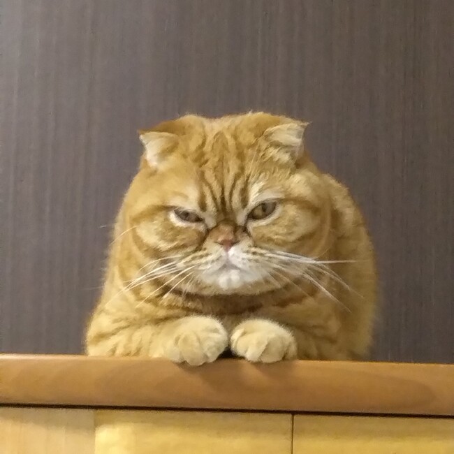 まるとかずちゃんのカバー写真
