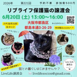 LiveLife譲渡会inキャットソシオンギャラリー