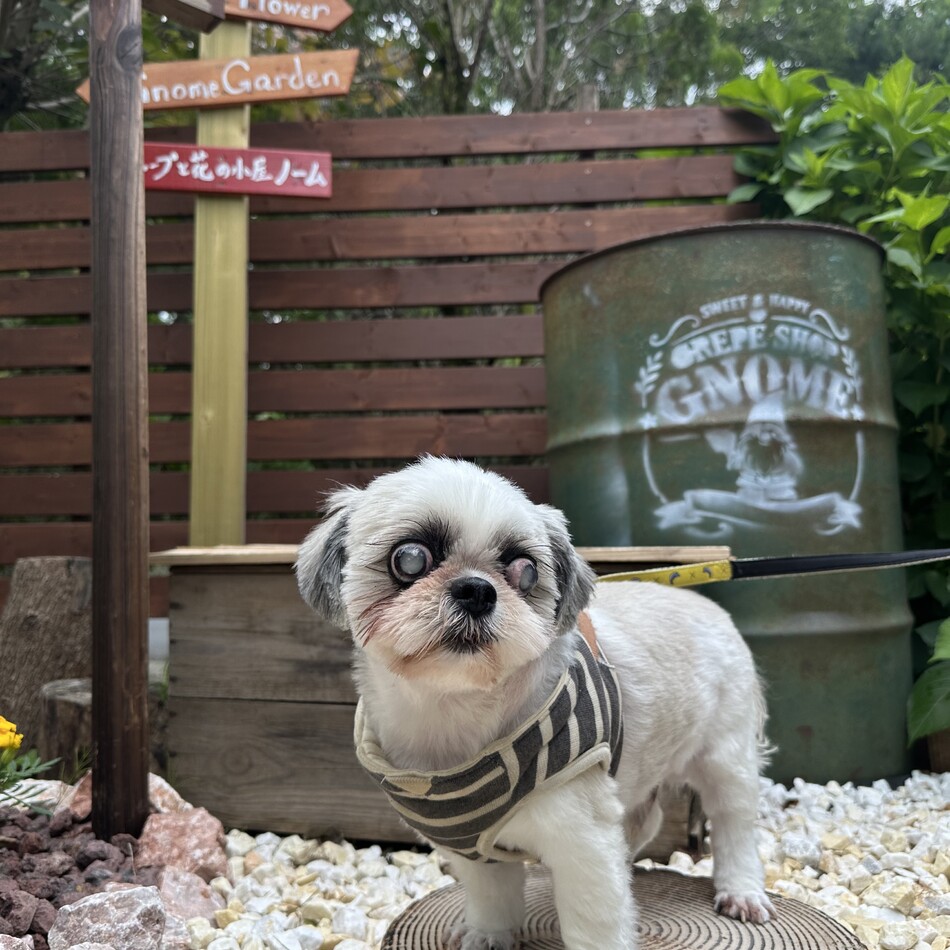 月紬（つむぎ）のカバー写真