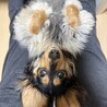 まんまるがお さん