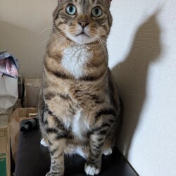 おかえり