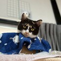 まだちょっぴり怖がりあずきちゃん