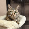 甘えん坊なお母さん