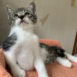 甘えん坊の男の子♡