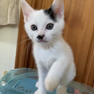 甘えん坊の男の子♡