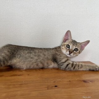 じじちゃん