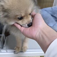 むぅ