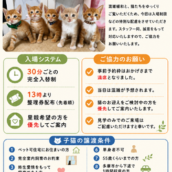 保護猫譲渡会in麻生区はるひ野 サムネイル2
