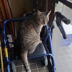 姫＆殿、7歳になる夏の始まり
