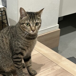 兄妹で箱に入れられてました