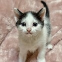 タレ目系甘えん坊ボーイ！約1ヶ月半