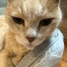 写真では若く見えます(19歳)