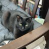 こじさまの若い頃