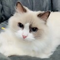 ♡優しい甘えたです♡