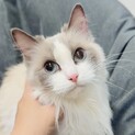 ♡甘えたマイペース♡