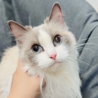♡甘えたマイペース♡
