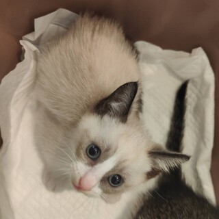 ���O�h�[������ ���O�N