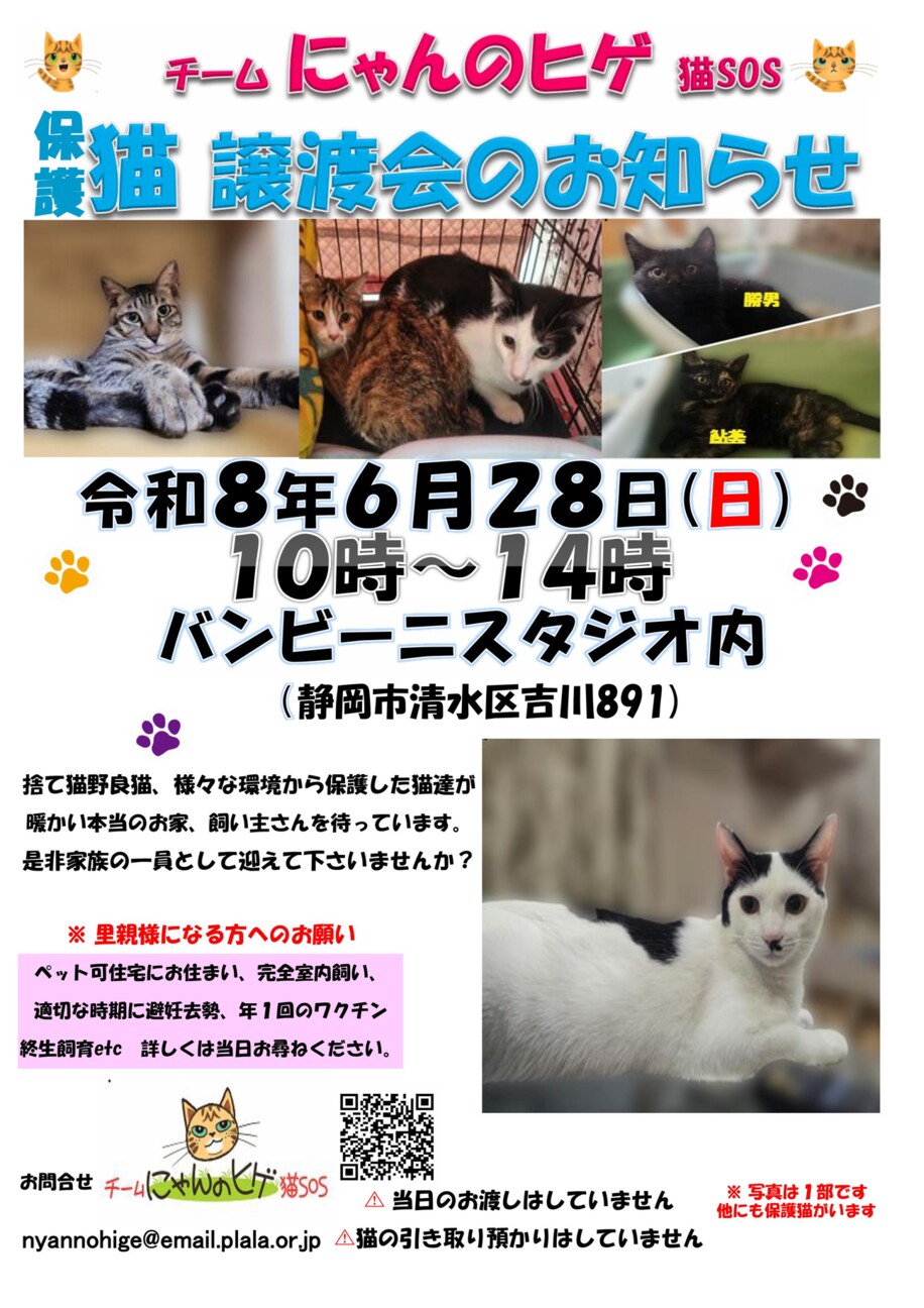 にゃんのヒゲ」保護ニャ」（チーム にゃんのヒゲ 猫SOSのイベント