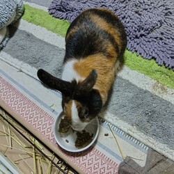 雨の日は