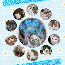 あにこり猫の里親会