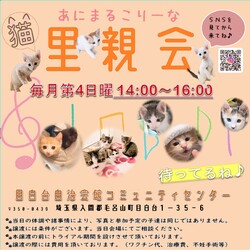 あにこり猫の里親会 サムネイル3