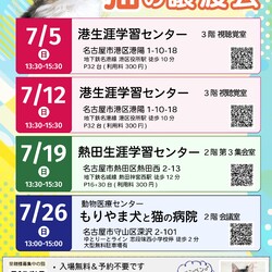 ▼猫の譲渡会▼名古屋市港区