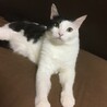 natu*** さん