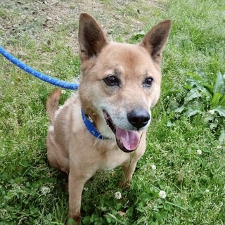 和犬気質の【望くん】人懐っこい男の子