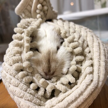 むぎゅう〜っ