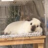 視線を感じたとき