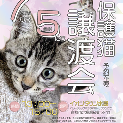 保護猫譲渡会（予約不要）