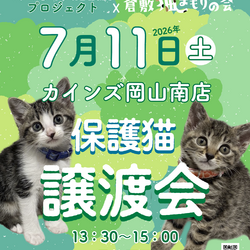 保護猫譲渡会（予約不要） サムネイル1