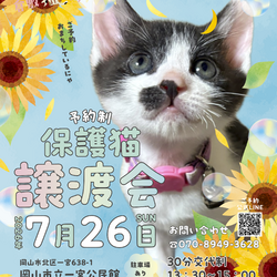 保護猫譲渡会（予約制）