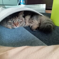 ワールドカップ観戦？！