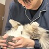 りょしさん