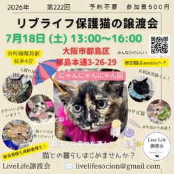 LiveLife譲渡会inキャットソシオンギャラリー